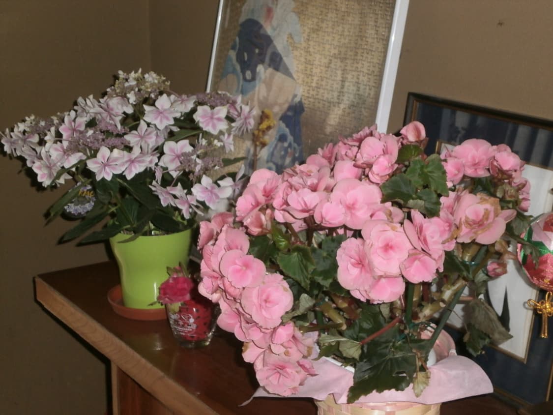 (한국어 지원) 올림푸스 Olympus VH-410  상품이미지6