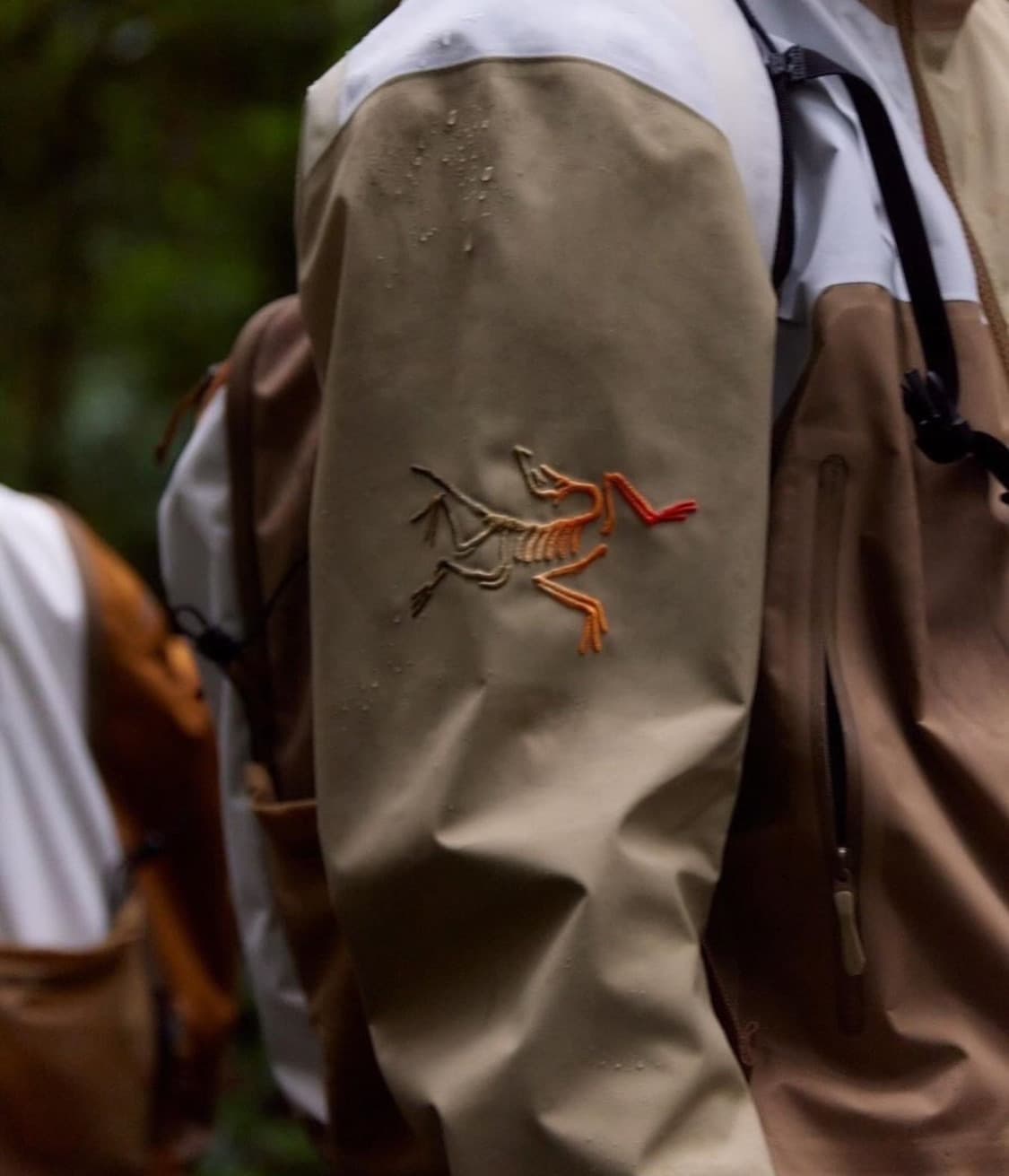 [L]아크테릭스X빔즈 베타 자켓 나고미 상품이미지2