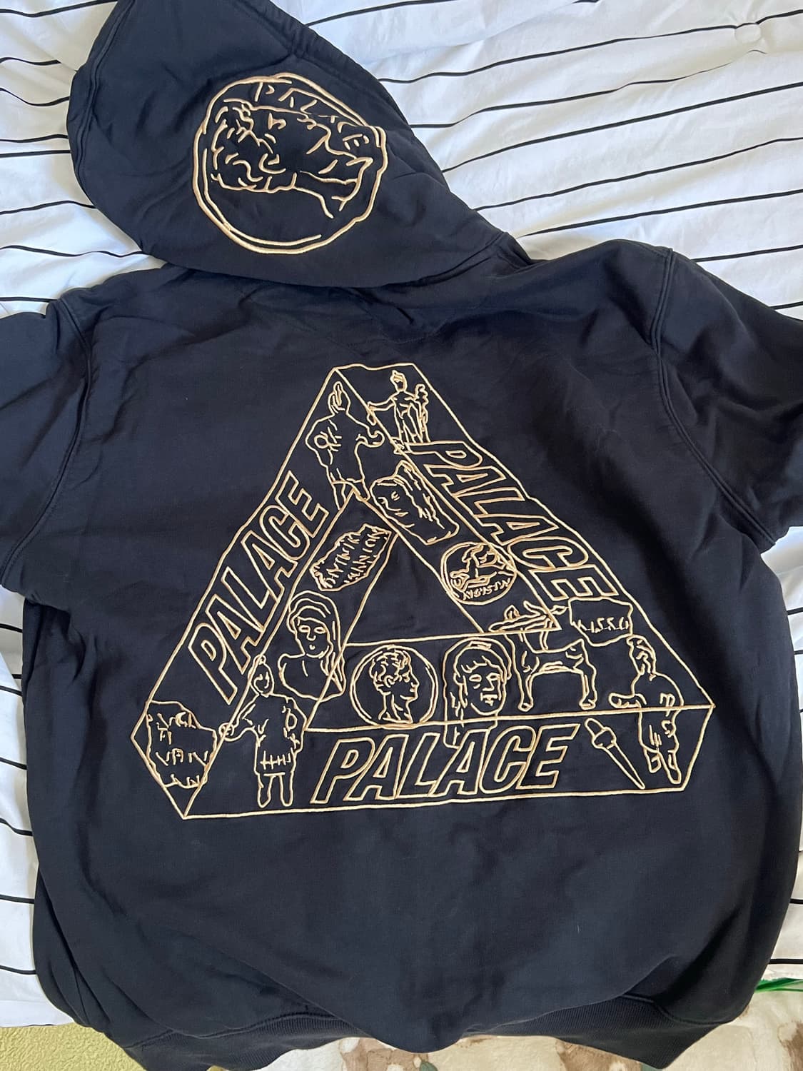 팔라스 트라이아키올로지 후드 상품이미지1
