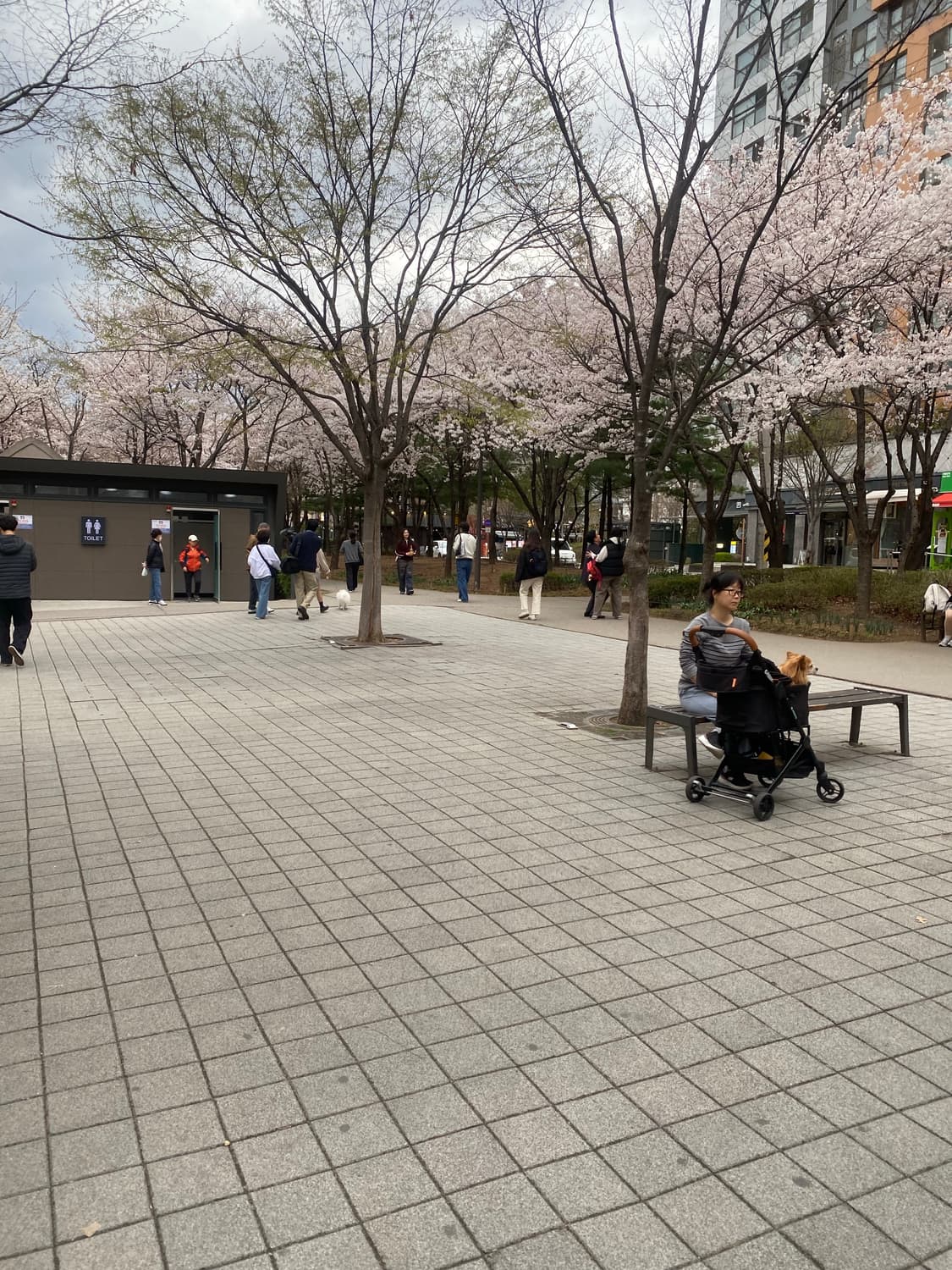 르메르 핸리 니트 fitted henley top 상품이미지4