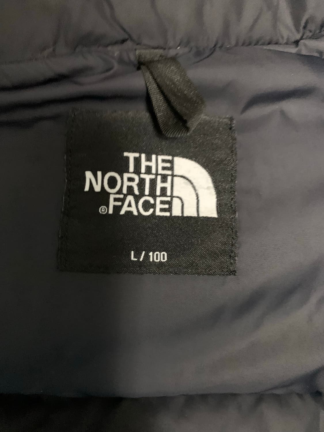 노스페이스 에코 눕시 1996 L사이즈 상품이미지3