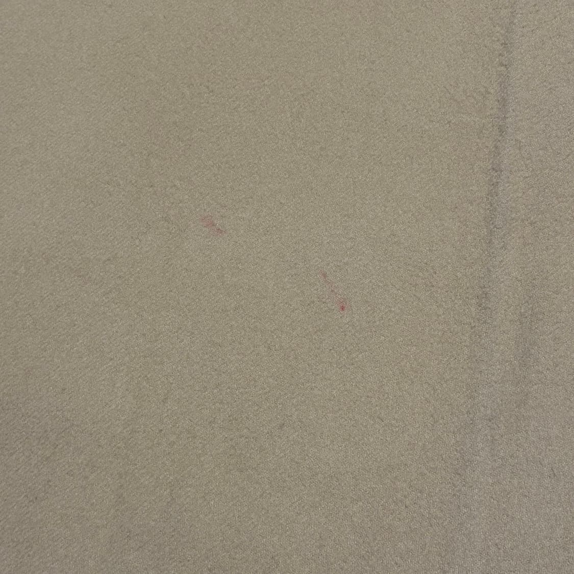 Acne Studios 울 베이지 머플러 상품이미지5