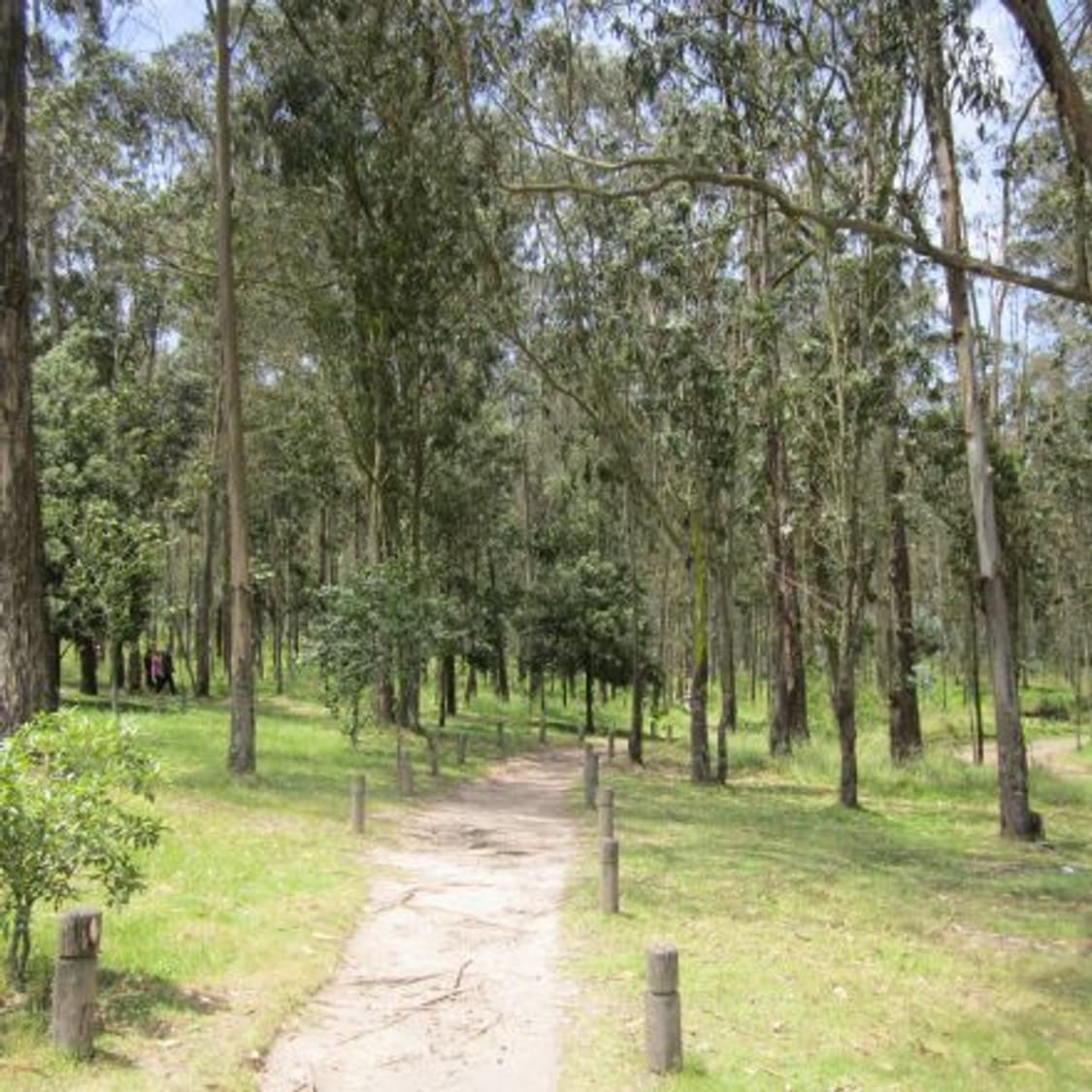 ​📸  풀박스 ✨ 캐논 PowerShot A2200 실버 [영어지원]  상품이미지9