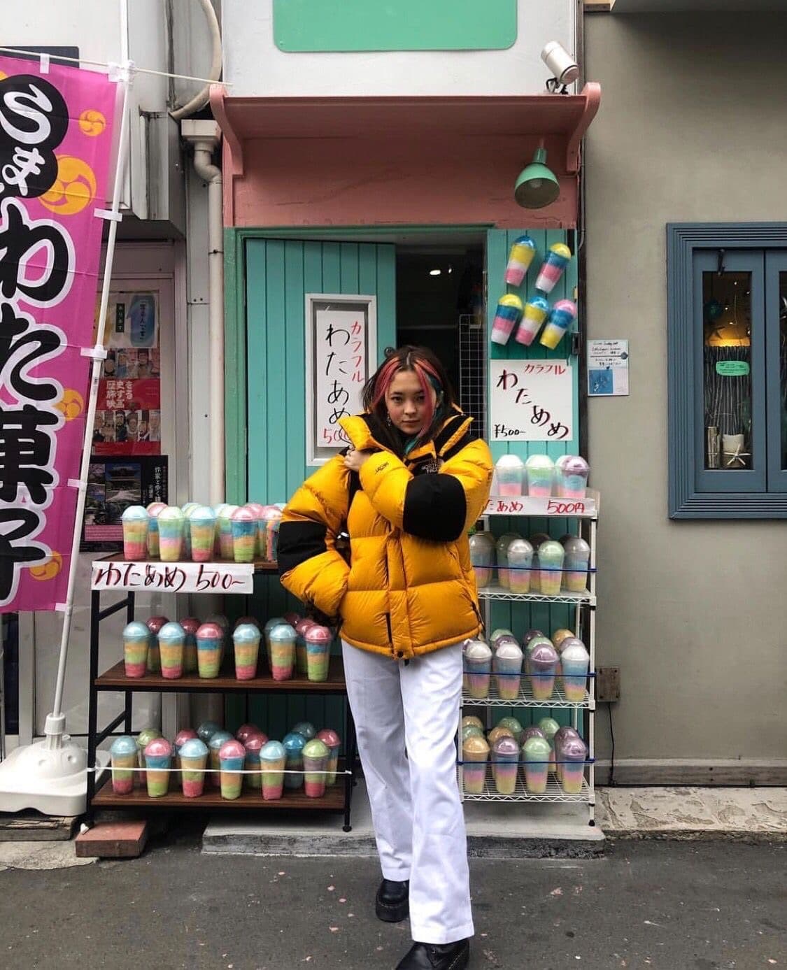 노스페이스 700 드라이로프트 서밋 덕다운 패딩 자켓 상품이미지7