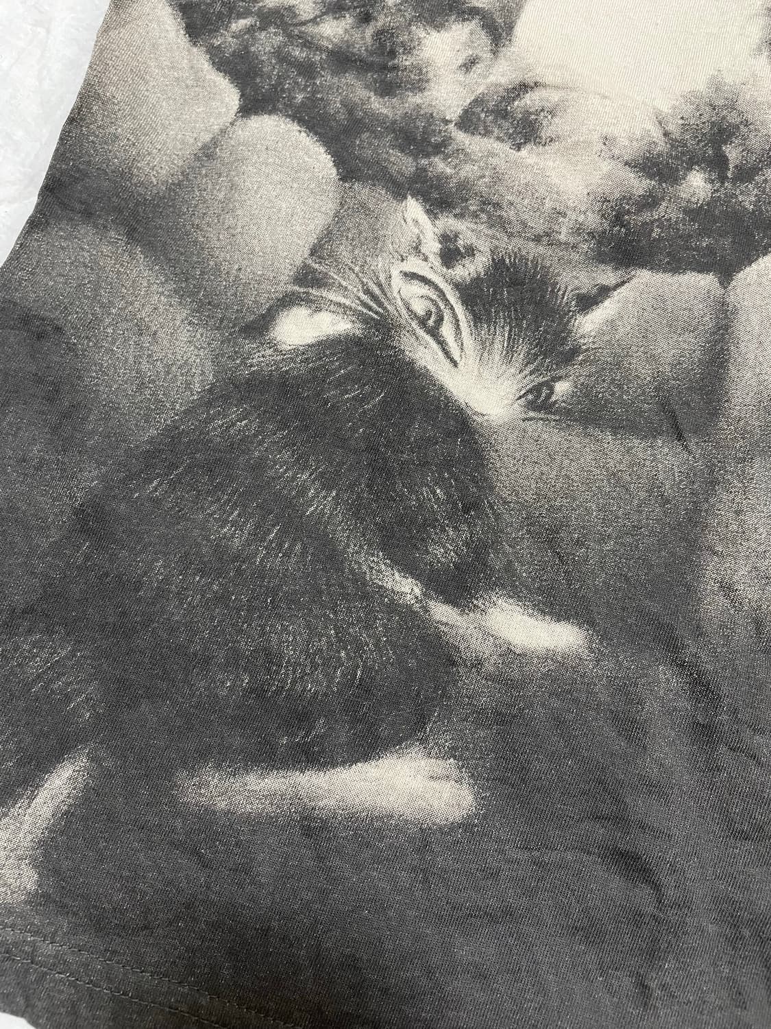     와치필드 캣 포토 프린팅 반팔 티셔츠 상품이미지3