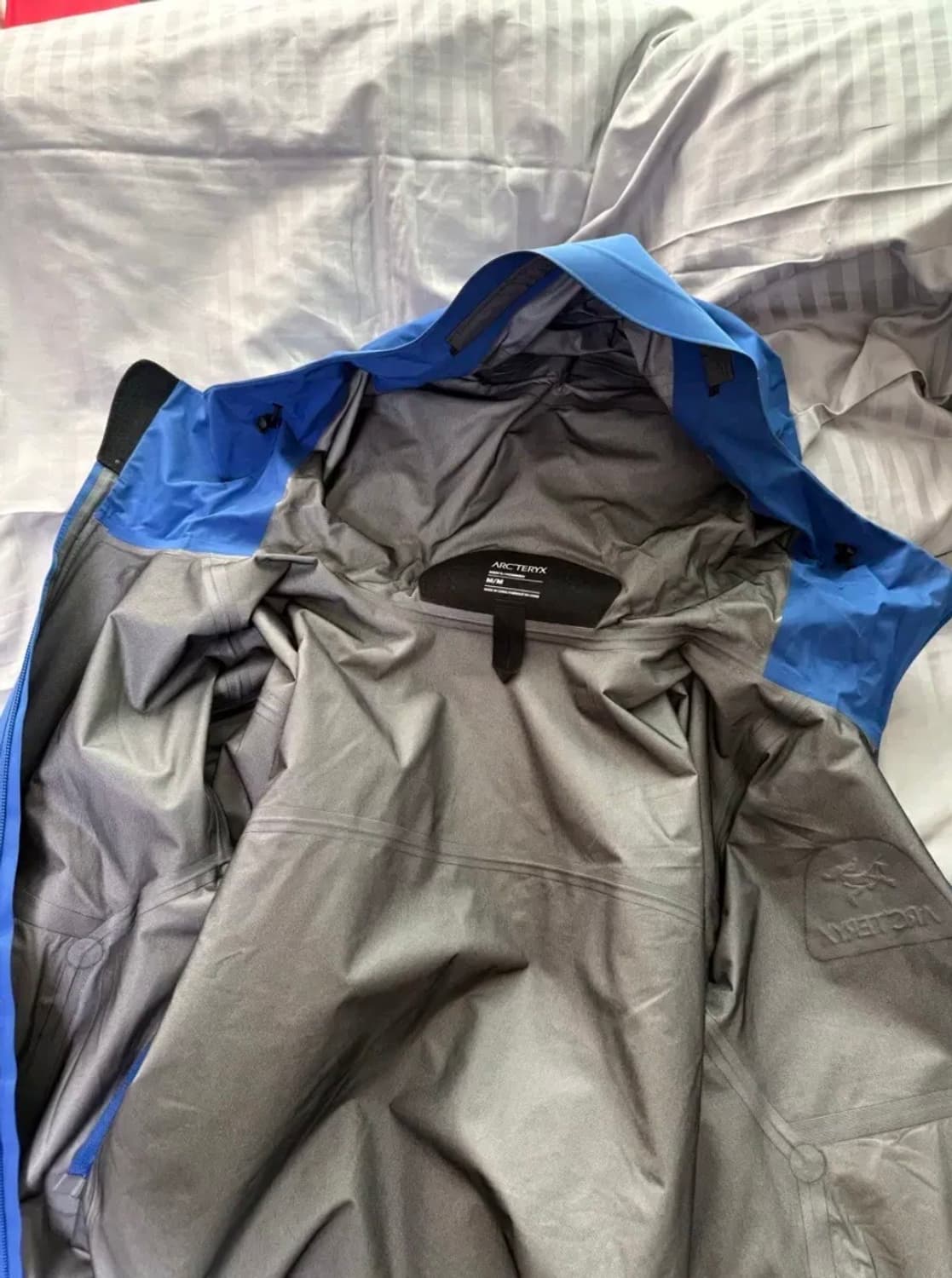 [급] 아크테릭스 베타 lt md 바이탈리티 상품이미지5