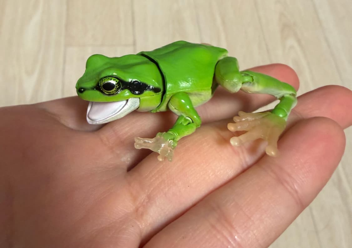 반다이 생물대도감 어드밴스 청개구리01 녹색 상품이미지2