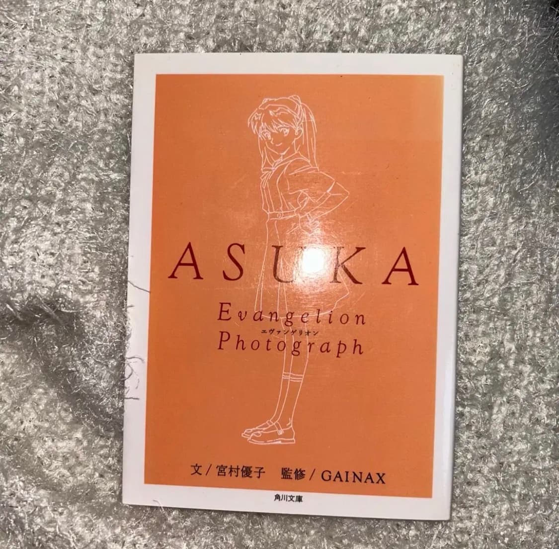 에반게리온 아스카 책 애니메이션 상품이미지1