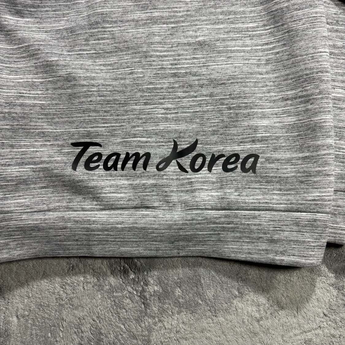 노스페이스 팀 코리아 그레이 후드집업 상품이미지4