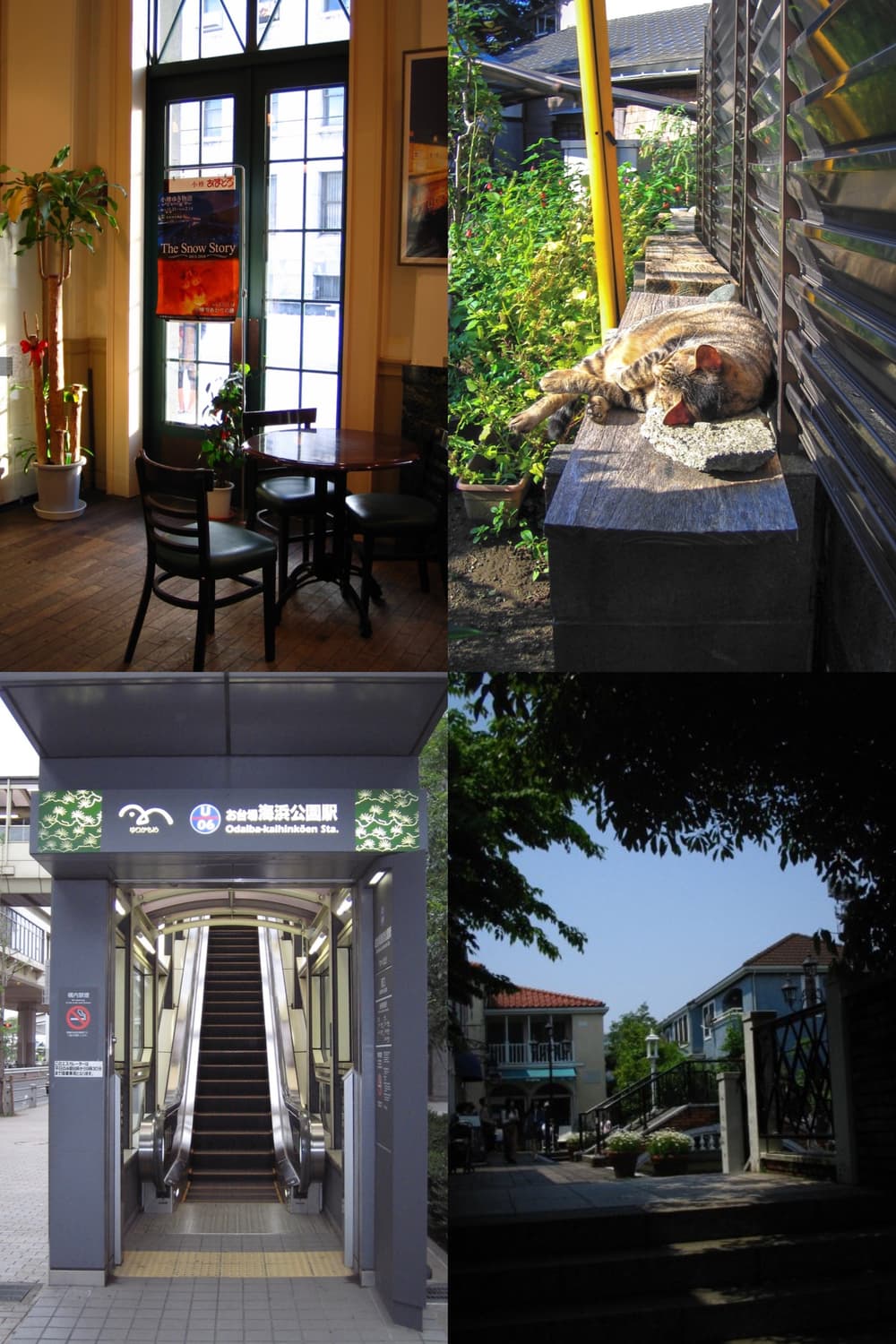 작례🫧𖠳ᐝ캐논 CANON IXY DIGITAL L (IXUS i) 상품이미지10