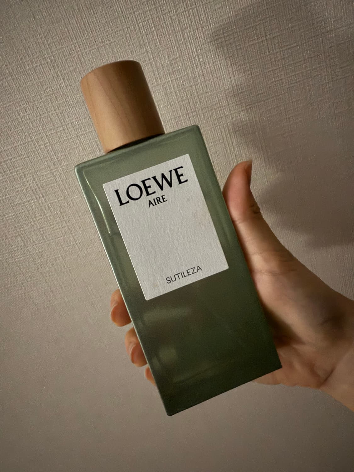 로에베 수틸레사 상품이미지1