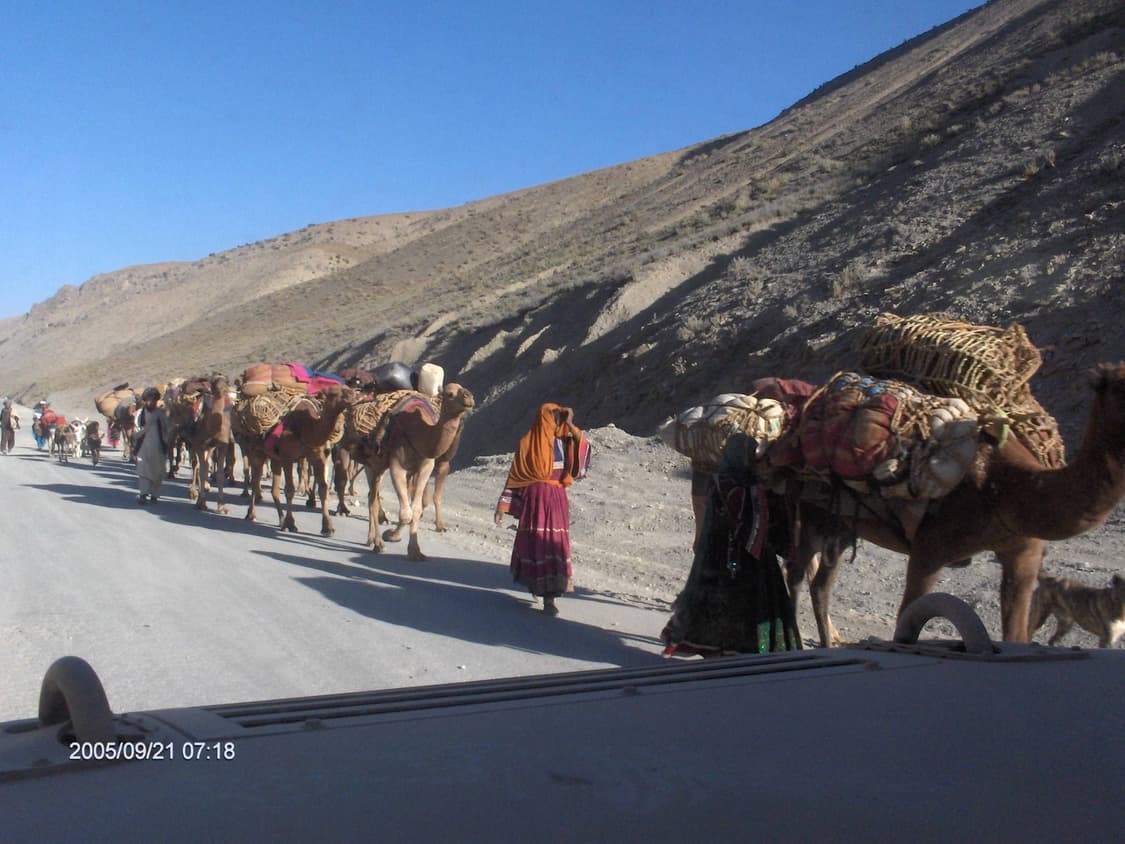 HP photosmart M22 빈티지 카메라 상품이미지9