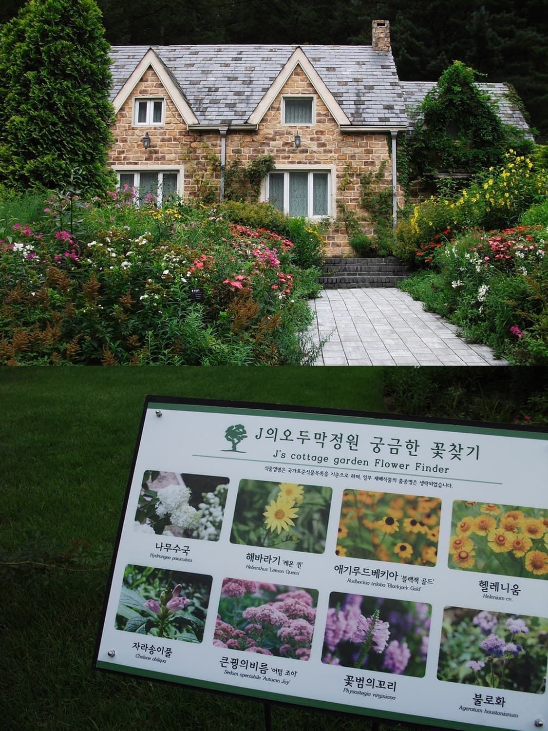 ☃️ 후지필름 파인픽스 J30 ☃️ 빈티지 디카 상품이미지6