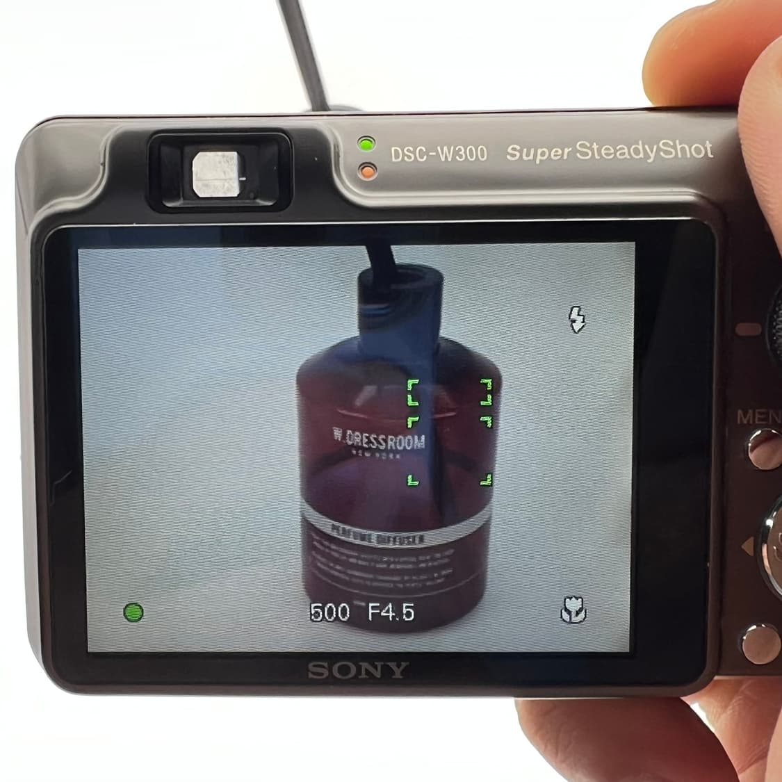 소니 사이버샷 Sony Cyber-shot DSC-W300 티타늄그레이 상품이미지9