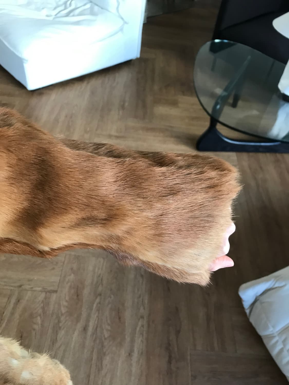 vintage fur jacket  상품이미지4