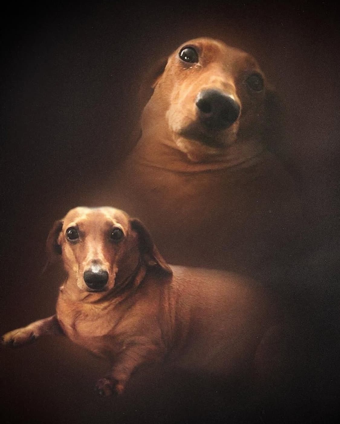 Bye( ᴗ͈ˬᴗ͈)ഒ 상품이미지1