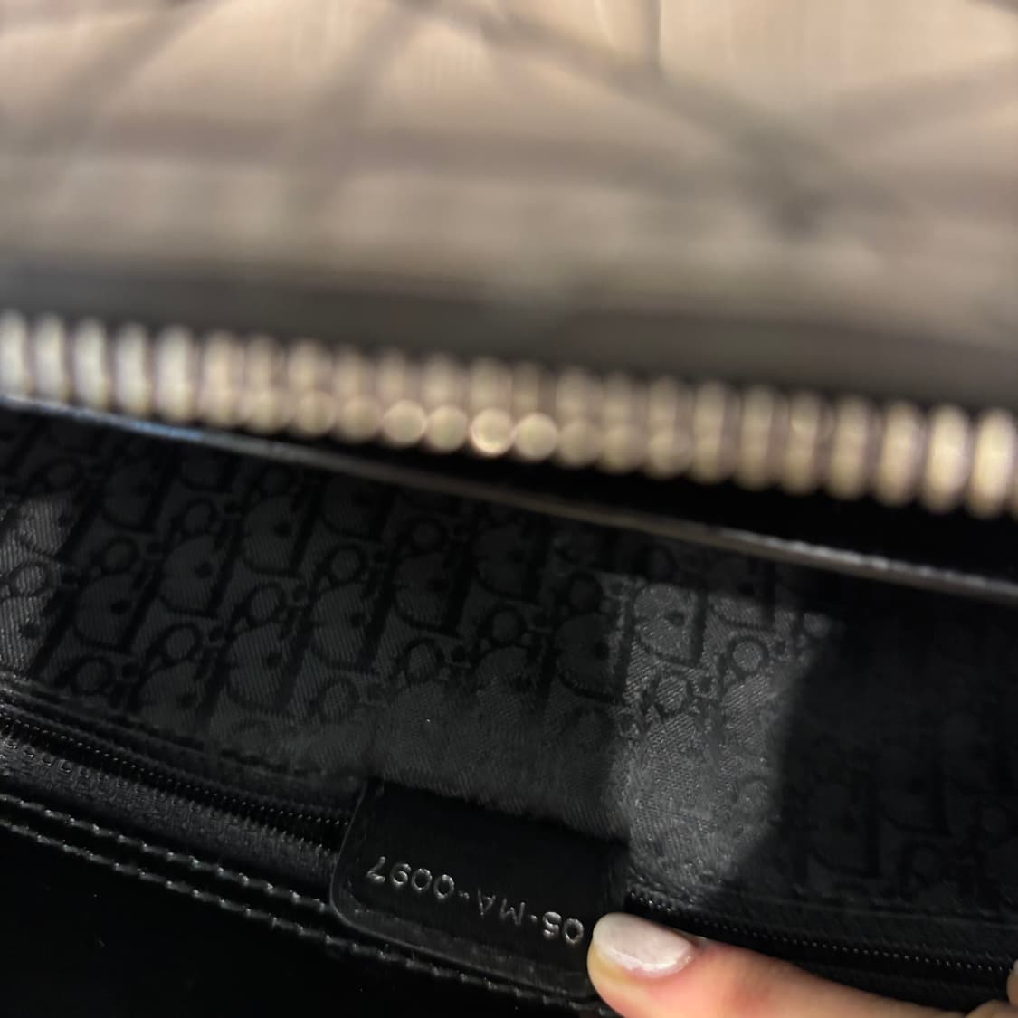  디올 이스트웨스트 디 조이백      상품이미지10