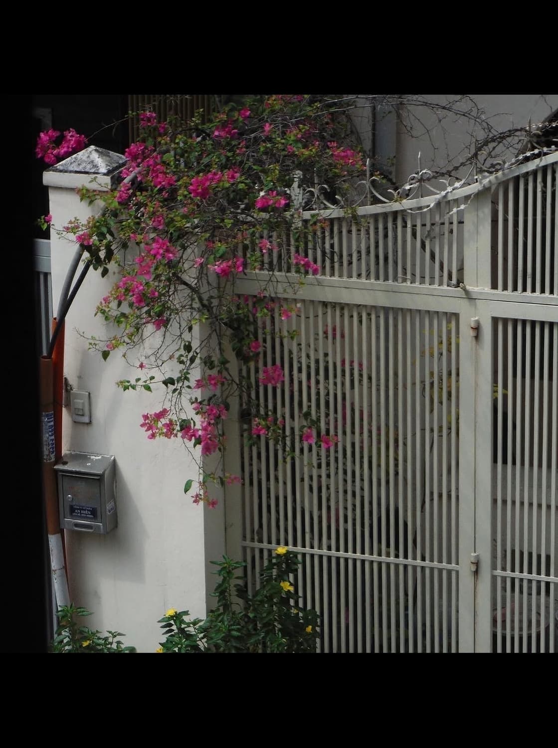 후지필름 xp60 디지털카메라 상품이미지9