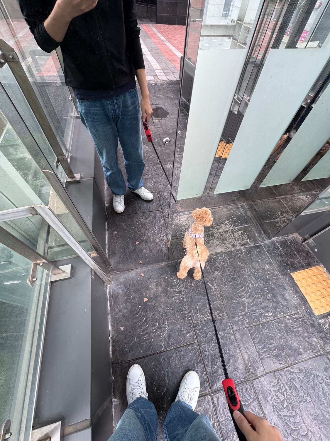 머듈 데님(32) 상품이미지3