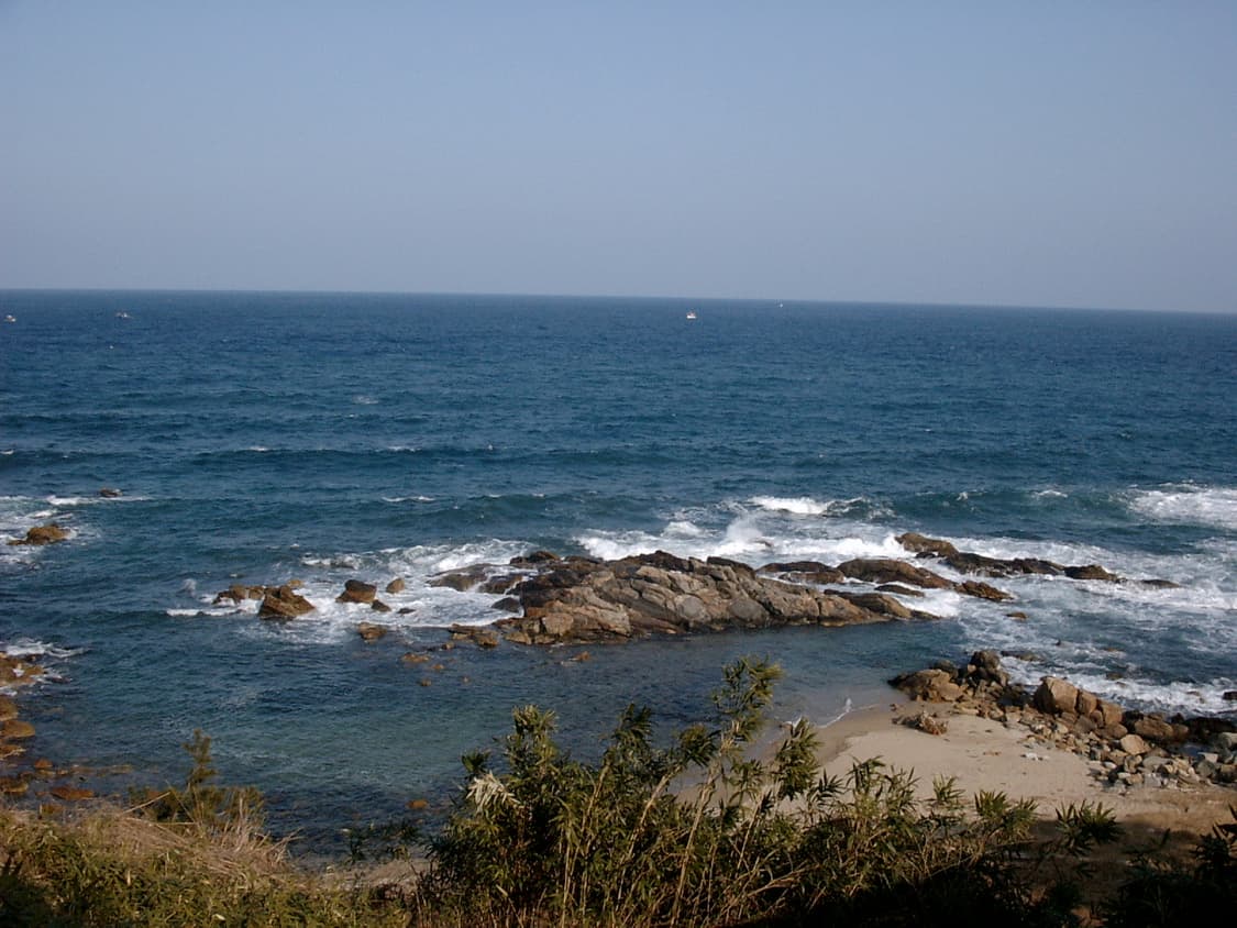 삼성 케녹스 Samsung kenox digimax 220 (작례o 상품이미지8