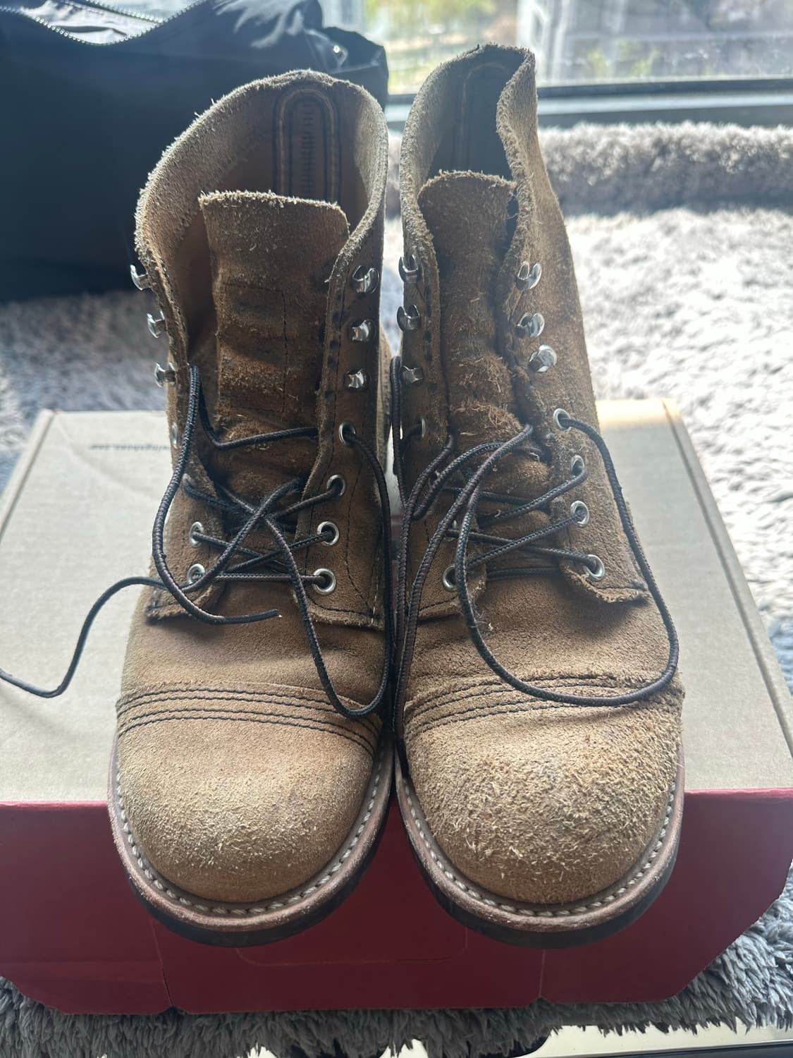 레드윙 8083 8d  상품이미지1