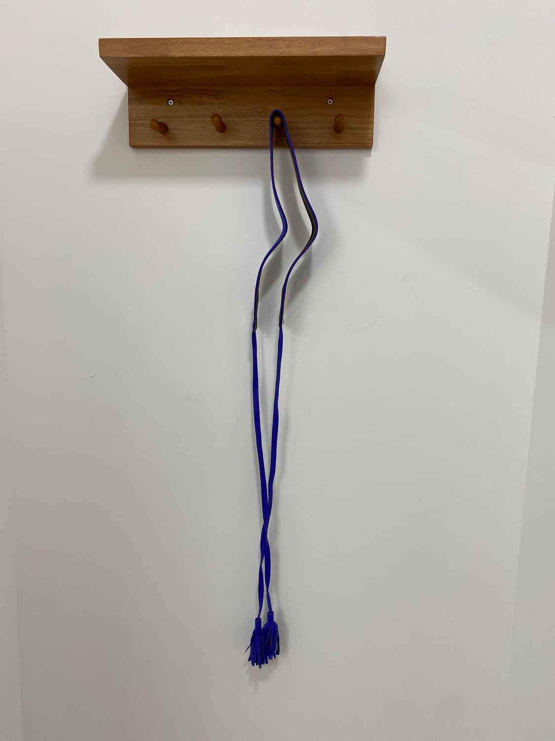 BALLY 블루 숄 벨트 상품이미지2