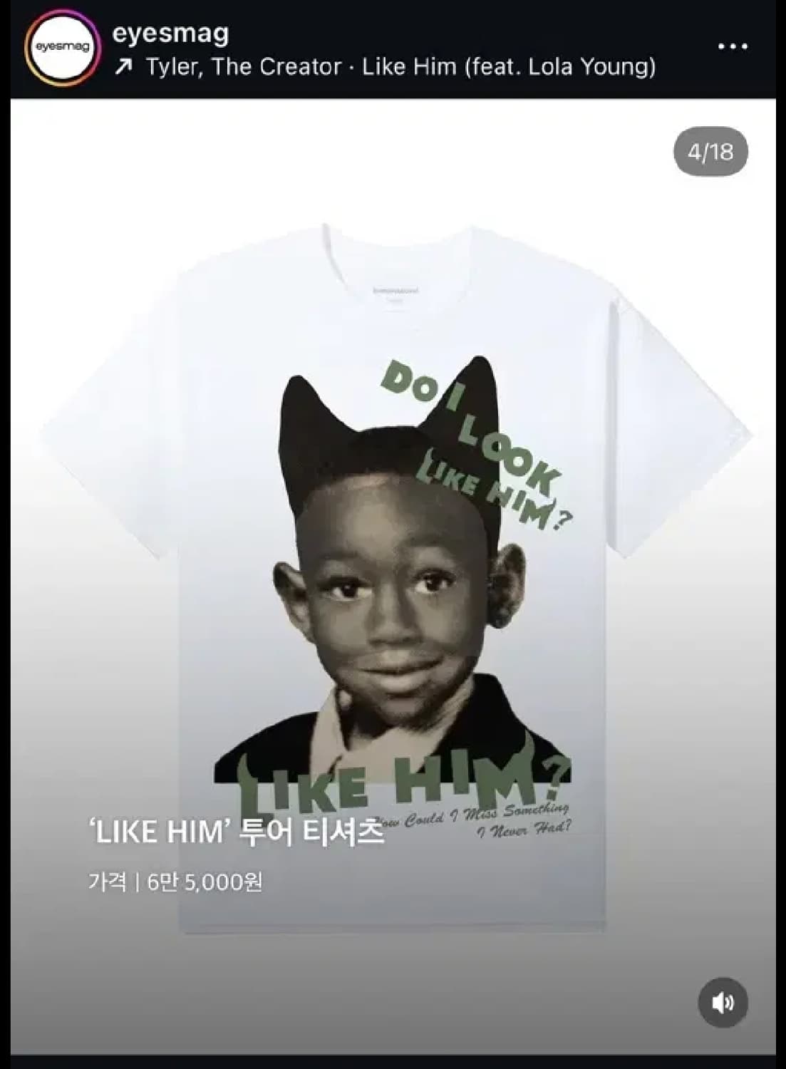 타일러 더 크리에이터 머천 like him XXL 상품이미지2