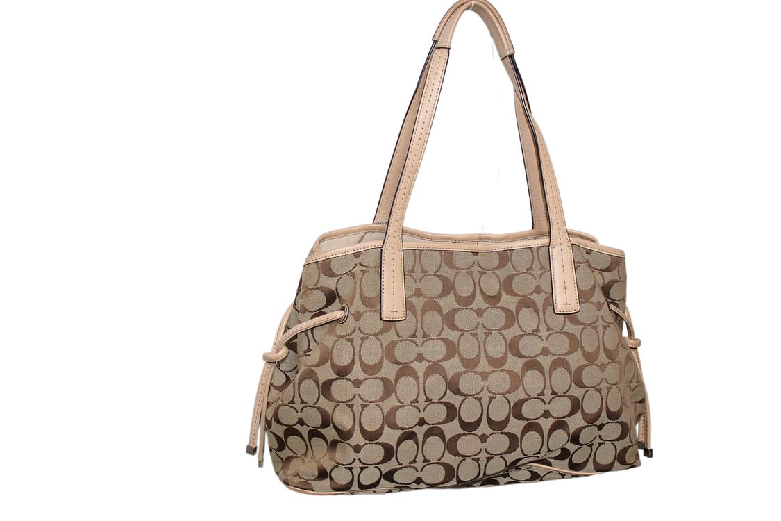 2000s Y2K COACH 코치 파이톤 토트백 상품이미지6