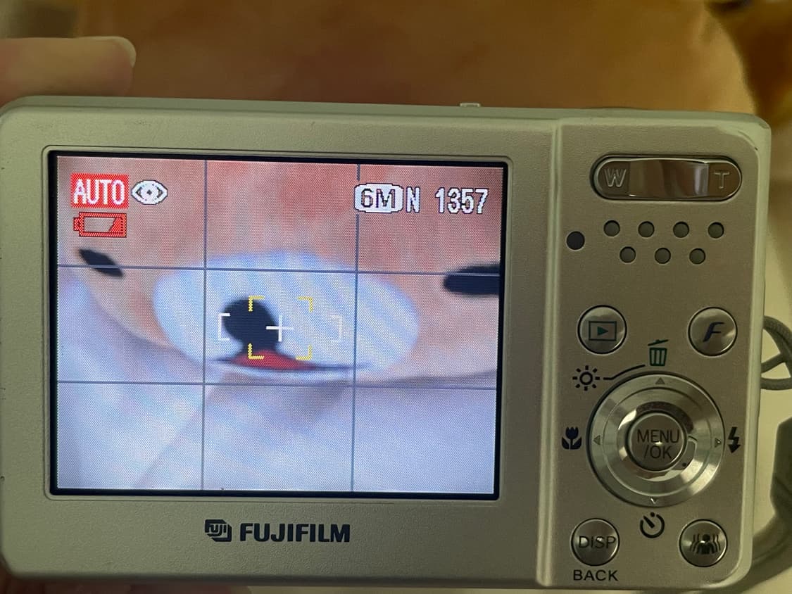 후지필름 Finepix F20 디카 상품이미지3