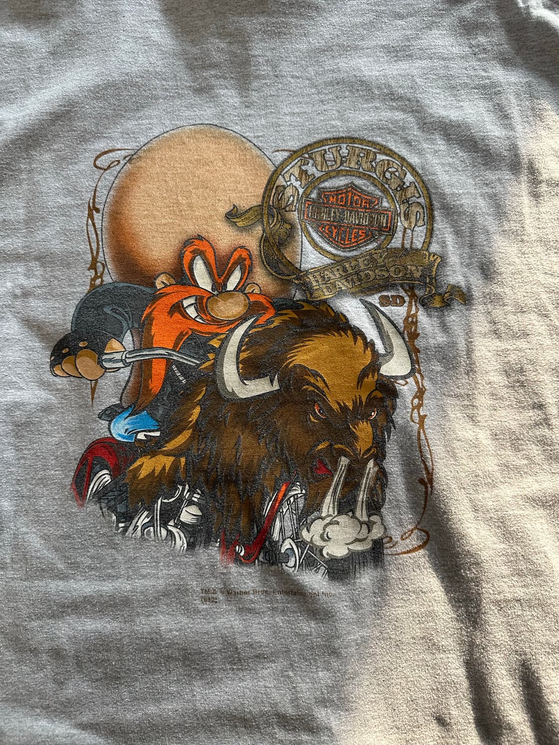 할리데이비슨 x 루니툰즈 '요세미티 샘 & 버팔로' - 2XL 상품이미지1