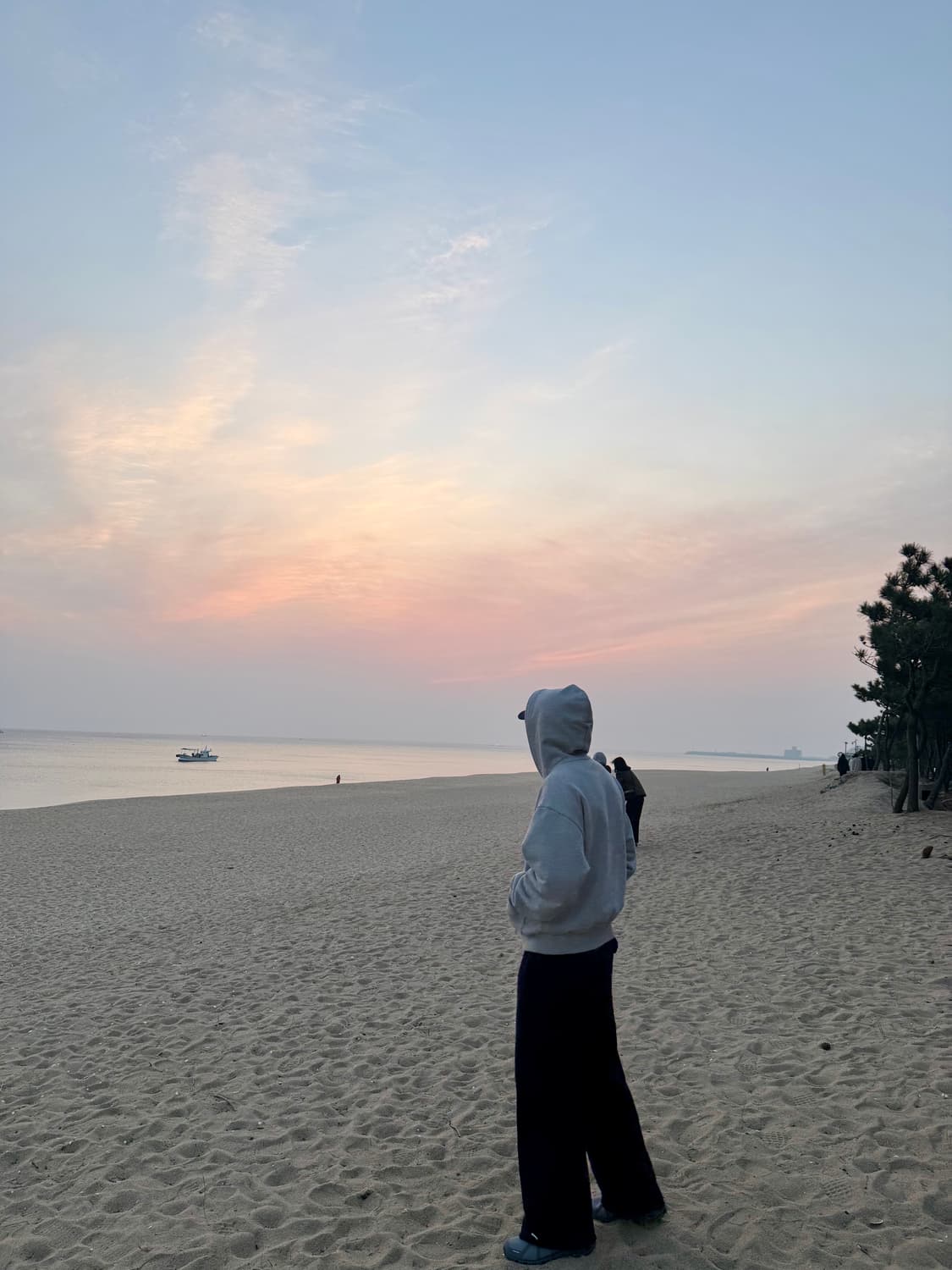 쿠어 후드 집업 라지 상품이미지2