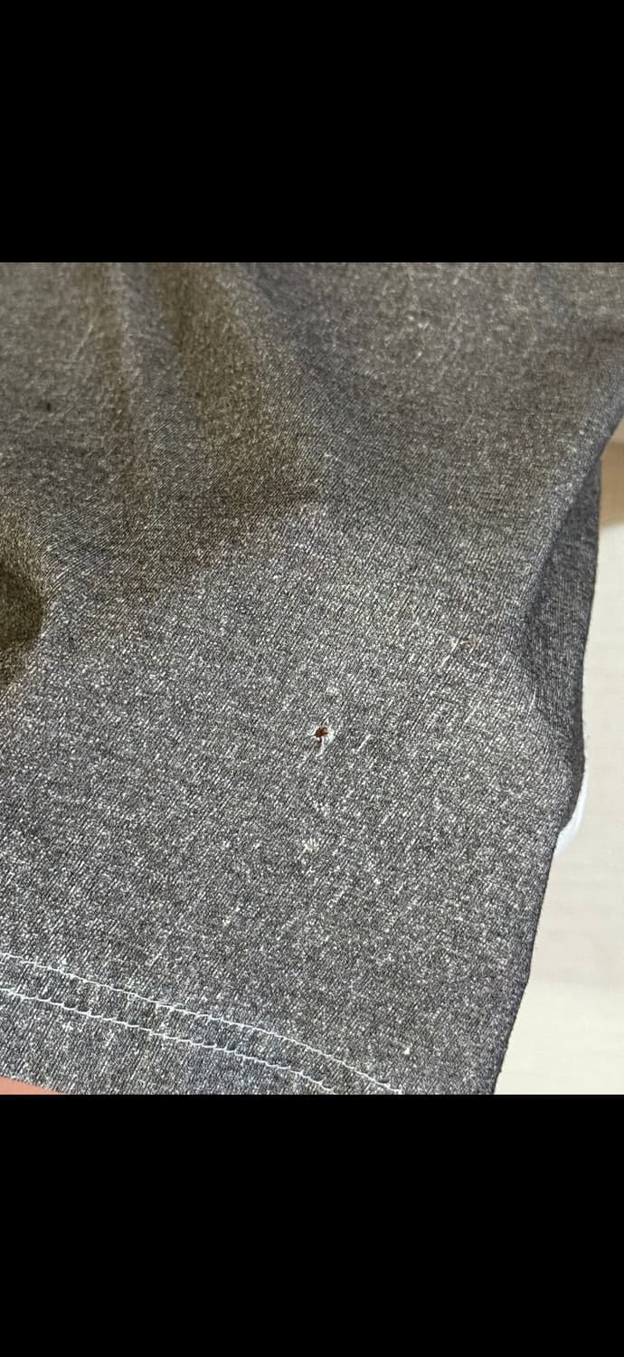 Maison Margiela 입어볼 수 있는 기회를 줄게 상품이미지5