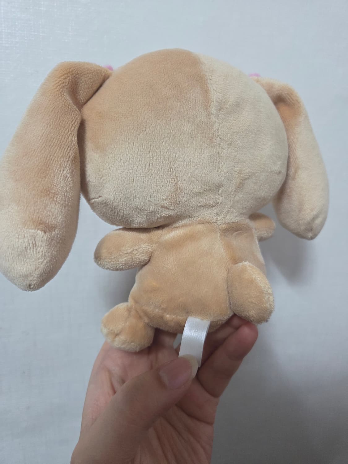 산리오 시나몬롤 모카 하트인형 상품이미지4