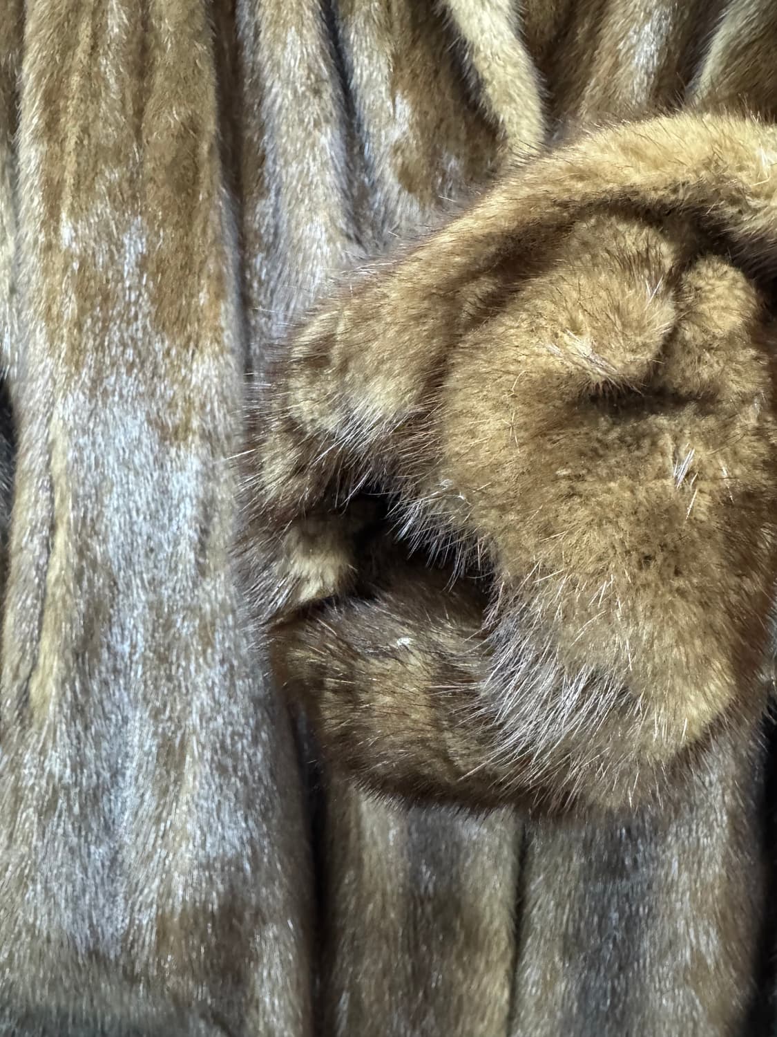 콘코르디아 사가밍크 로얄등급 통밍크77(M~L) 상품이미지2