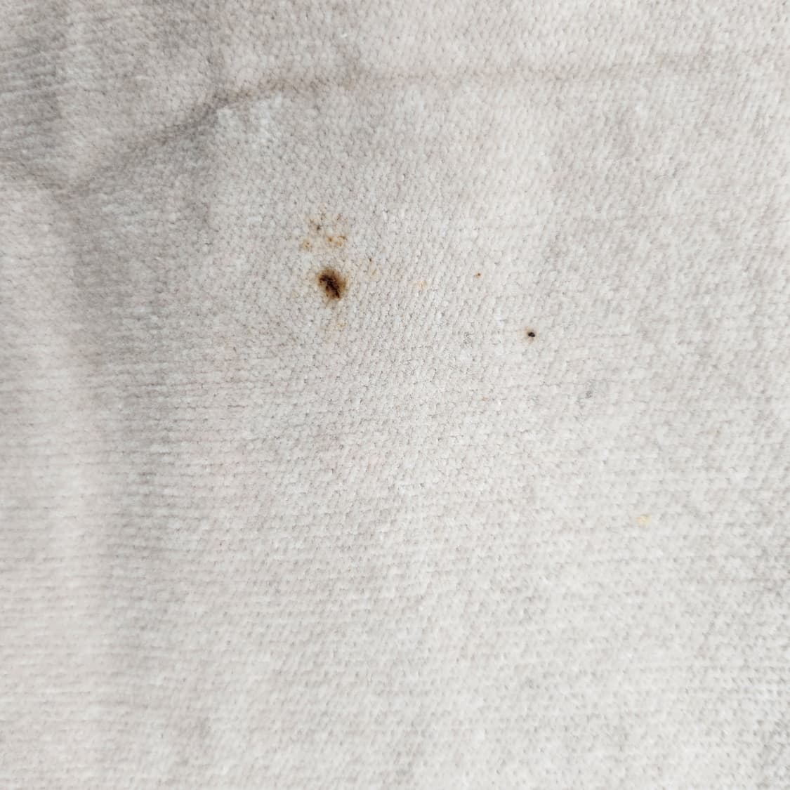 BURBERRY 버버리 스커트 [BCFS7338_0097-02] 상품이미지7