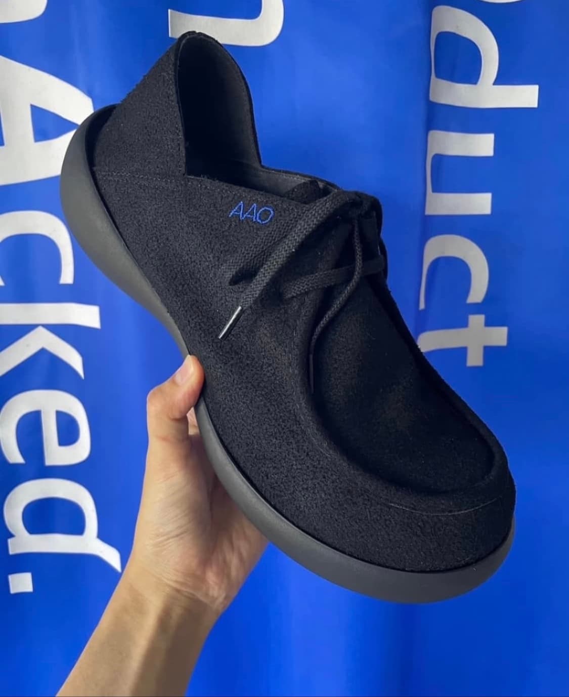 aao 리게타 LL 상품이미지1