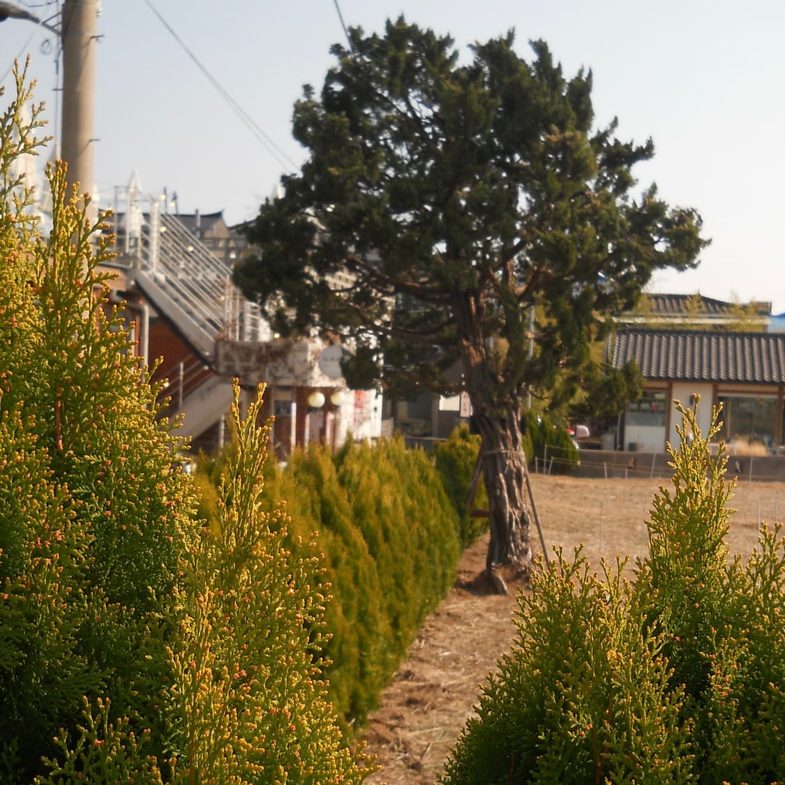 Coolpix L21 (✨민트급/🎁풀패키지) 상품이미지10