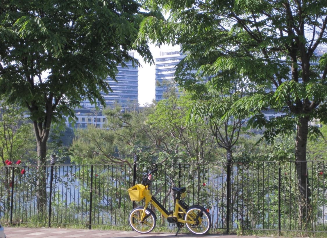 캐논 익서스 90IS 미우미우 디카 작례O 상품이미지6