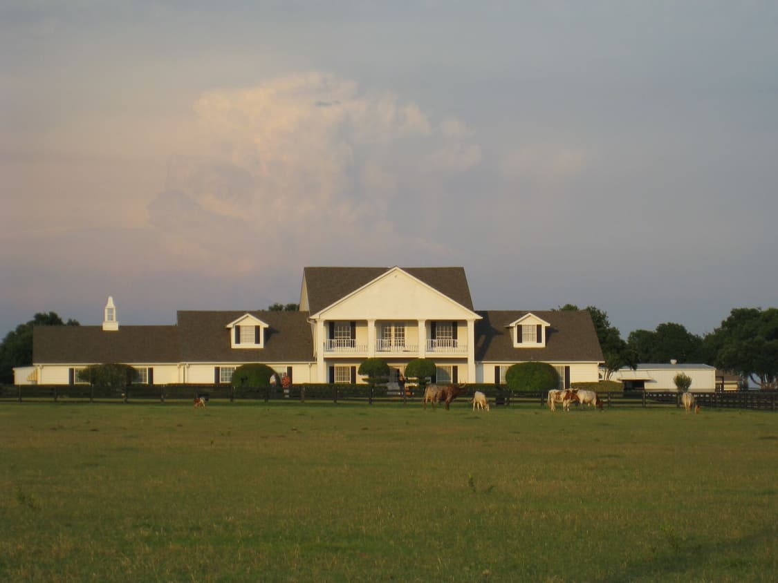 토모토모✧･ﾟcanon ixus 950is / Ixy 810 익서스 디카 상품이미지3