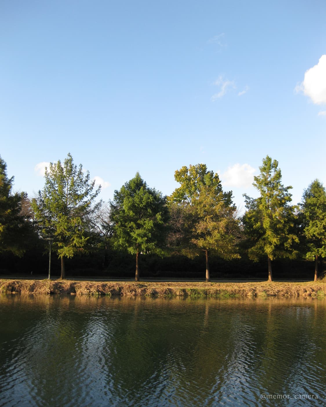 유튜버,아이돌픽✨Canon powershot SD790 IS 캐논 상품이미지8