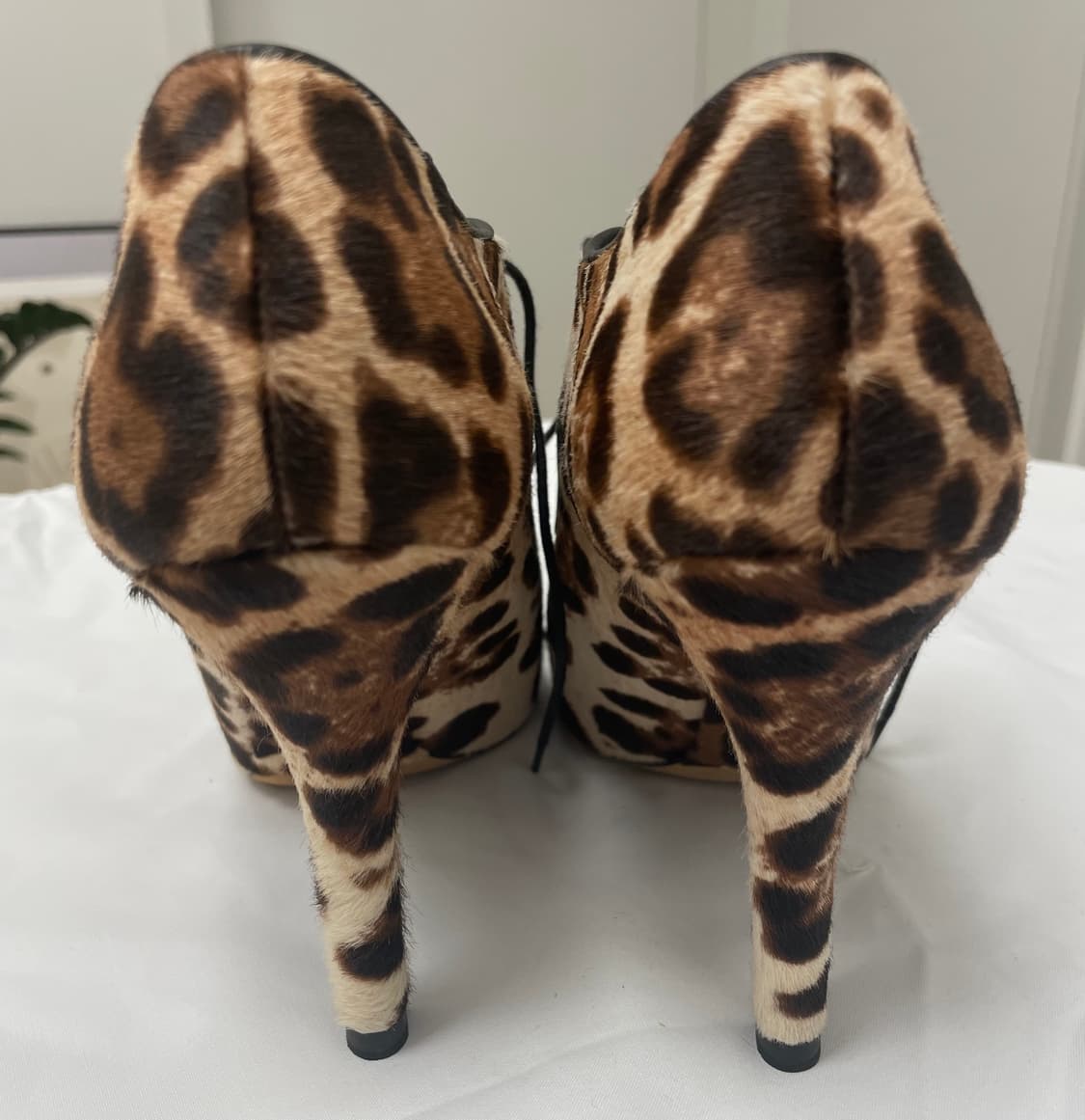 돌체앤가바나 레오파트 송치힐 상품이미지5