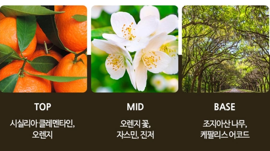 존바바토스 아티산 오드뚜왈렛 125ml 상품이미지5