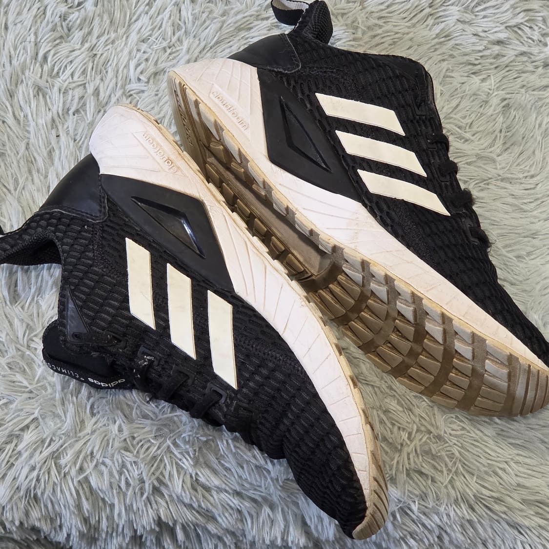5x-10:아디다스 퀘스타CC(Adidas Questar CC)-245 상품이미지6