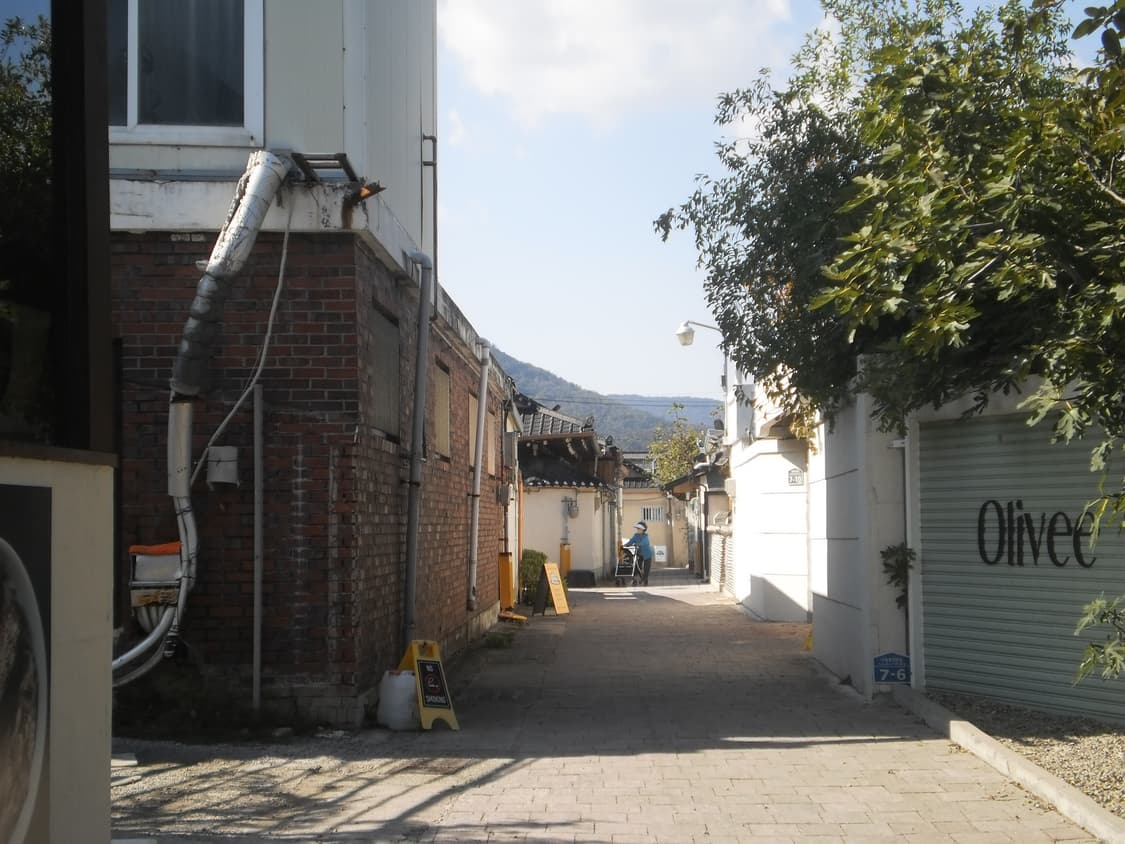 올림푸스 t-100 판매합니다 상품이미지8