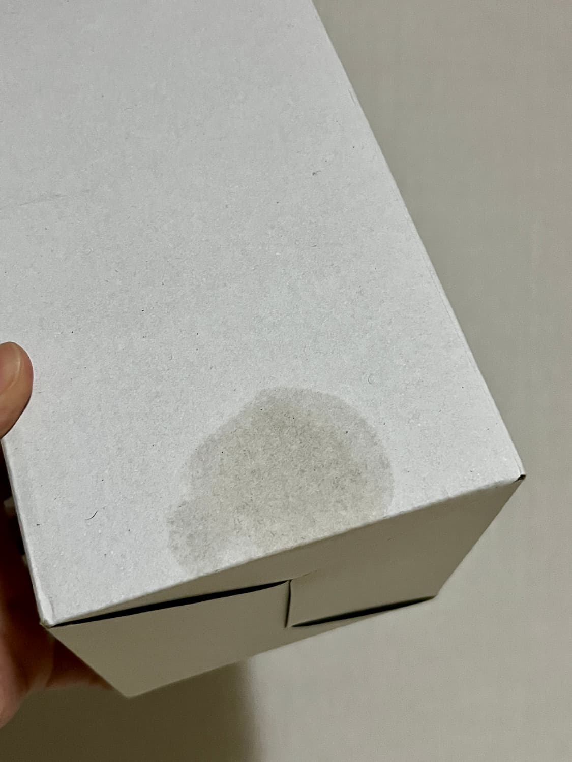 토토로 오르골 상품이미지3