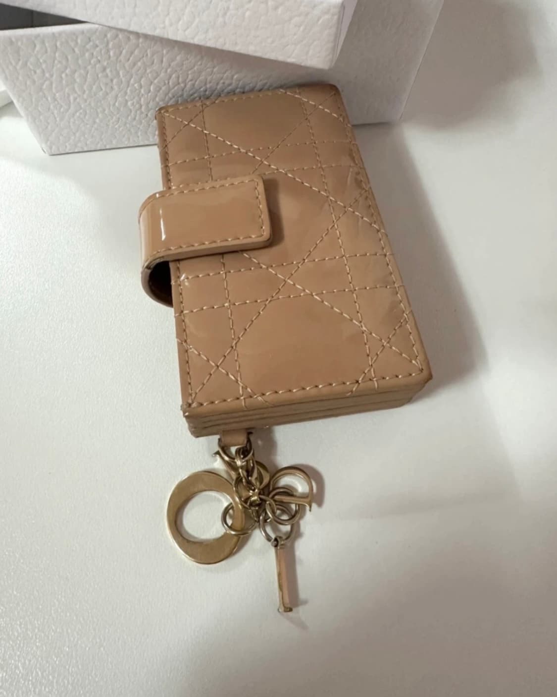 디올 레이디 페이던트 아코디언 카드지갑  상품이미지5