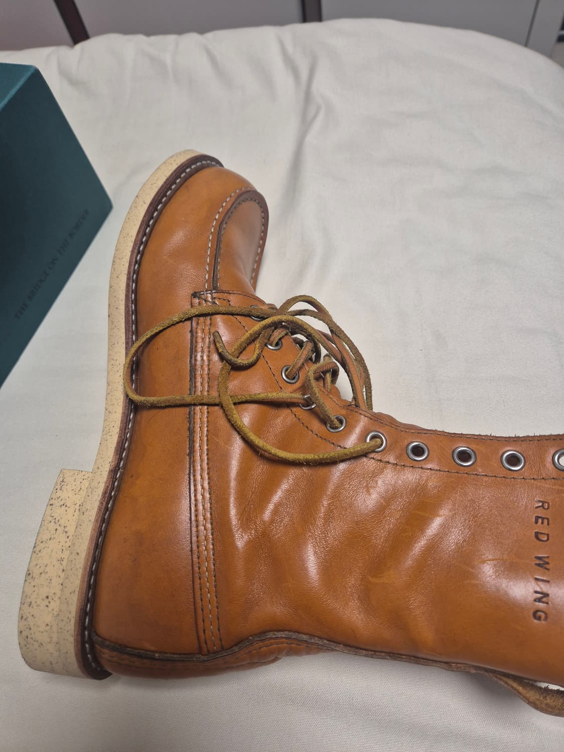 레드윙 아이리쉬세터 9877 판매합니다. 상품이미지5