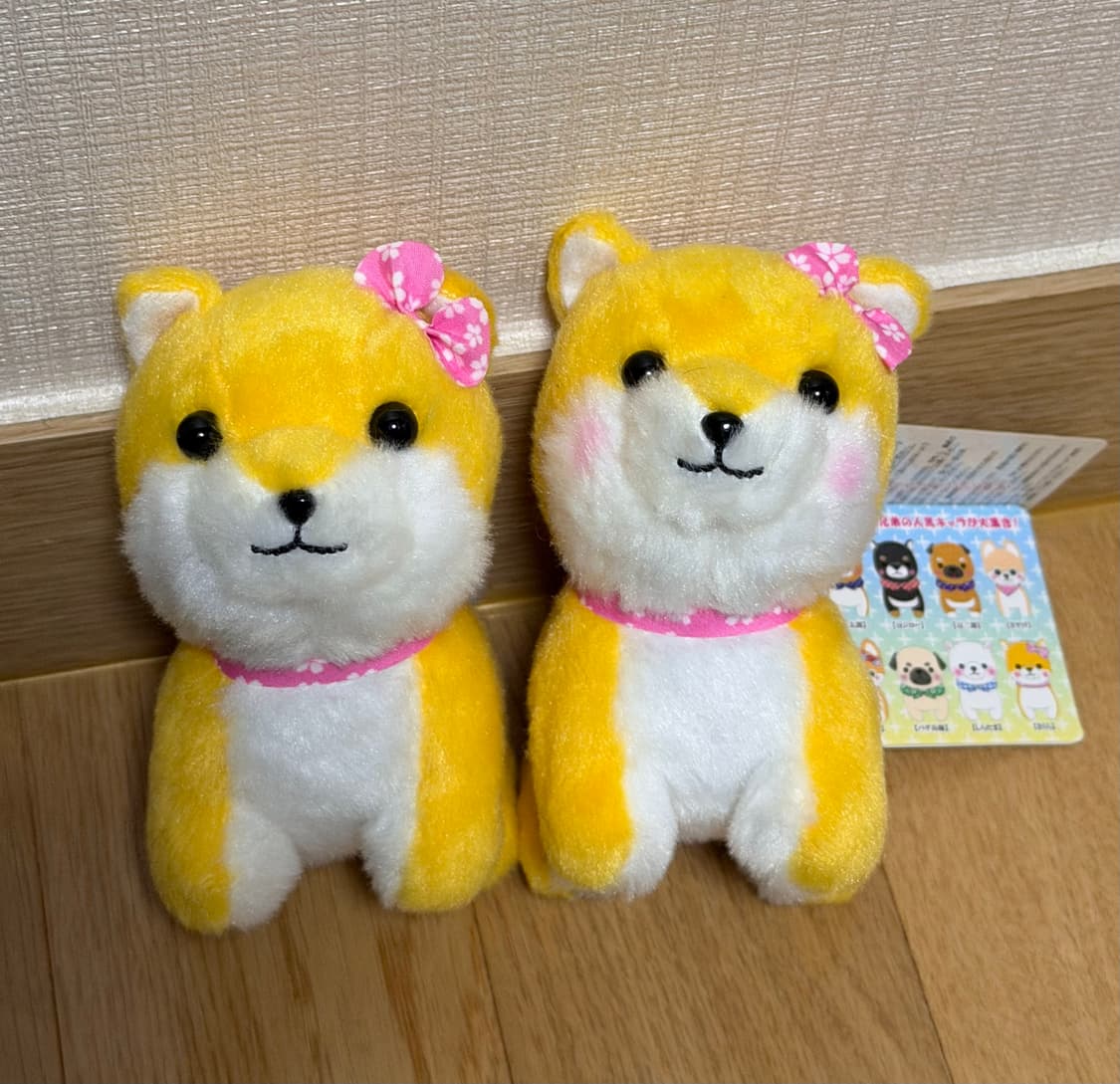 일본 어뮤즈 시바견 강아지 키링 마메시바 상품이미지1