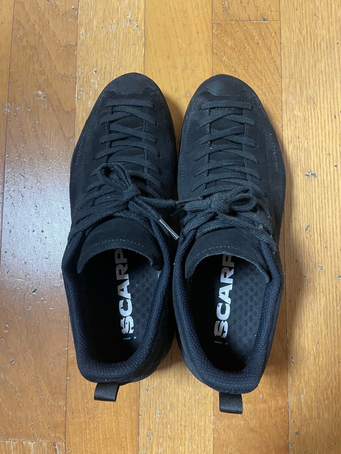 스카르파 모히토 GTX 블랙 43 상품이미지2