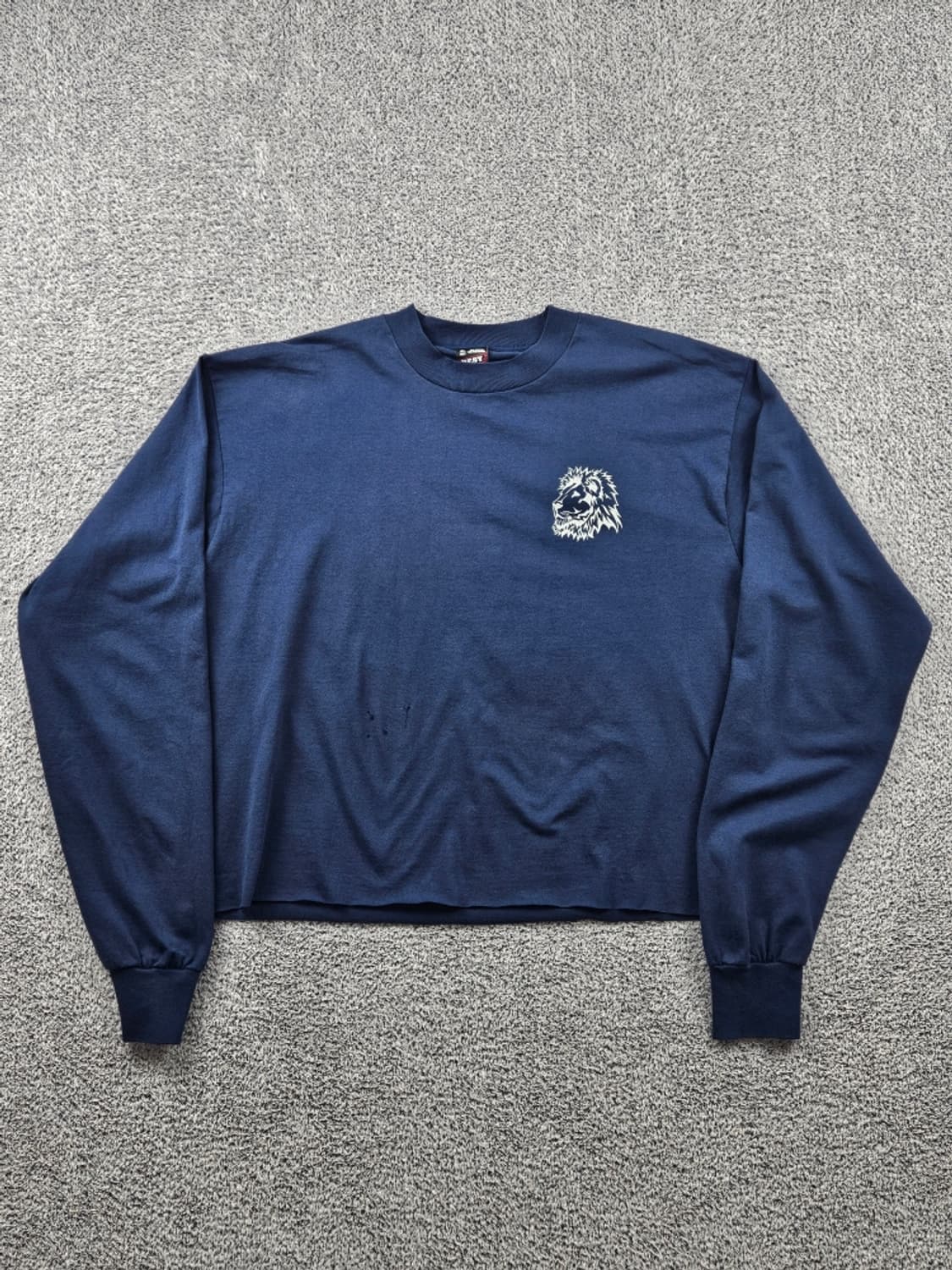 80'~90's 프룻 오브 더 룸 라이언 롱슬리브 ( XL )/11118 상품이미지3